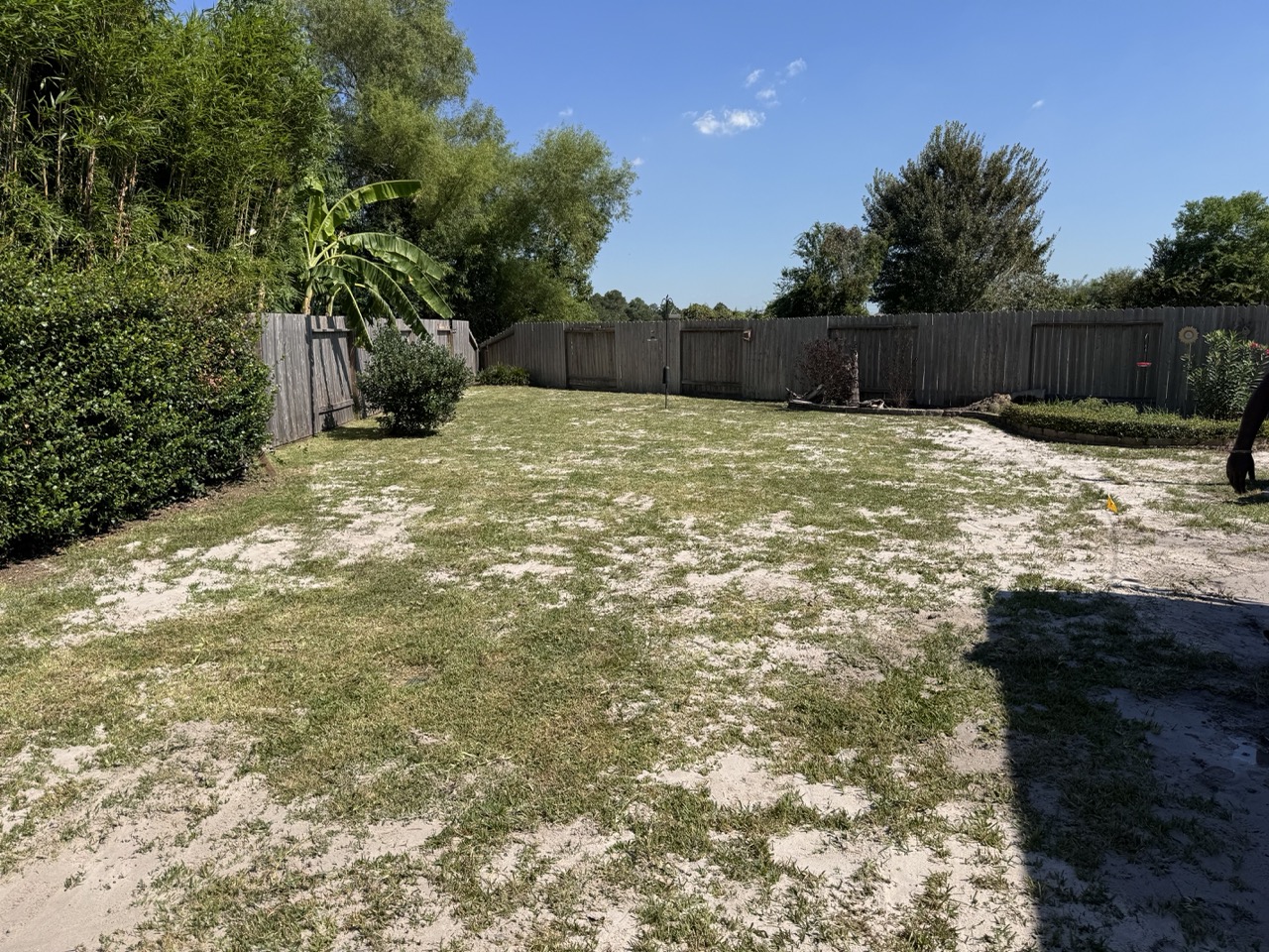 first ft-img-before